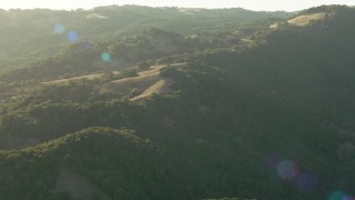 TS01_180 - 1080 stock footage aerial video of approaching trees and the Sonoma Mountains, California