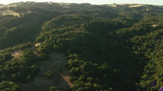 TS01_183 - 1080 stock footage aerial video of flying over forest in the Sonoma Mountains, California