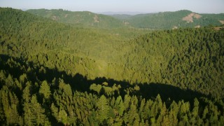 TS01_212 - 1080 stock footage aerial video of flying over forest and mountains in Sonoma County, California