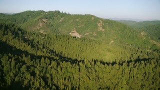 TS01_213 - 1080 stock footage aerial video of flying over forest to approach a mountain in Sonoma County, California