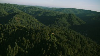 TS01_216 - 1080 stock footage aerial video flyby mountains and evergreen forest in Sonoma County, California