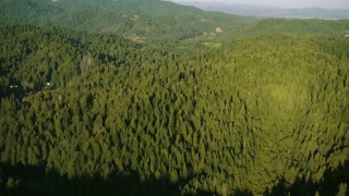 TS01_217 - 1080 stock footage aerial video tilt from bird's eye of forest to approach mountains in Sonoma County, California