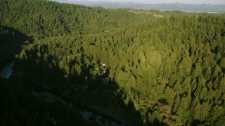 TS01_220 - 1080 stock footage aerial video of flying over homes and forest beside the Russian River in Forestville, California