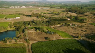 TS01_223 - 1080 stock footage aerial video of farm fields and vineyards in Windsor, California