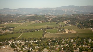 TS01_226 - 1080 stock footage aerial video of farm fields and vineyards in Santa Rosa, California