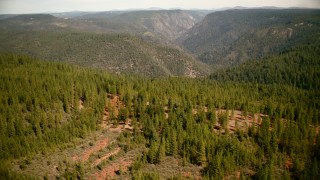 TS01_282 - 1080 stock footage aerial video of flying over evergreen forest in the Sierra Nevada Mountains, California