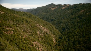 TS01_288 - 1080 stock footage aerial video of mountain slopes covered in trees in the Sierra Nevada Mountains, California